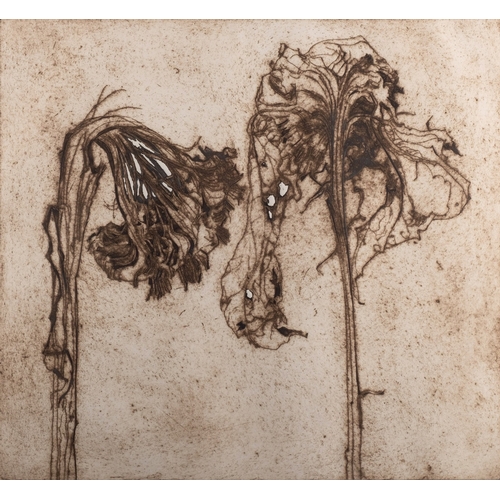 185 - Betty Sandham (British, 20th Century) 'Sunflowers; Skeletons' 3/10,  'Three Sunflower Heads' 3/6 and... 