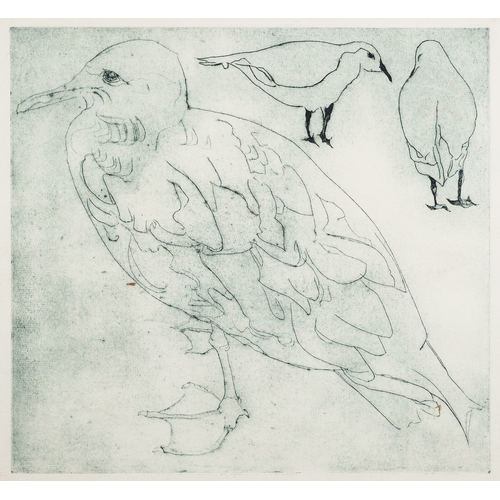 188 - Betty Sandham (British, 20th Century) Seagulls Two lithographs 56 x 76cm and smaller One signed and ... 