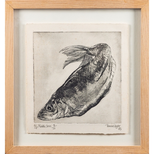 211 - Tamaris Taylor (British, Contemporary) Riddle Series - fish Mezzotint 25.5 x 23cm Signed and dated 8... 