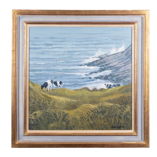 220 - *Alan Cotton (British b. 1936)  Co. Kerry - Cattle Near the Cliff Edge Oil on canvas 51 x 51cm Signe... 