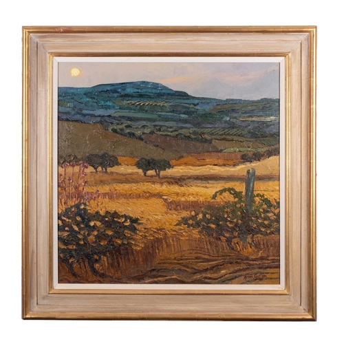 221 - *Alan Cotton (British b. 1936)  Cyprus - Hillside in Evening Light Oil on canvas 61 x 61cm Signed lo... 