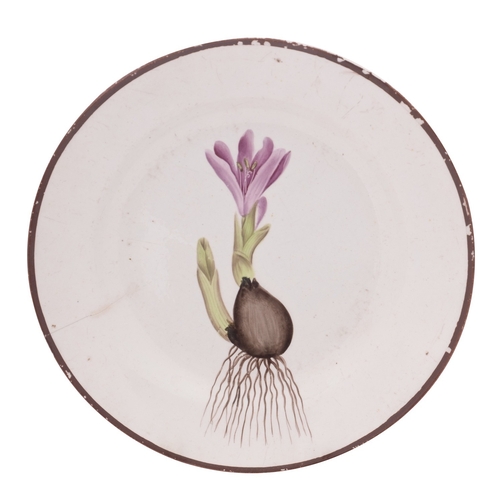 111 - A Swansea pearlware named botanical plate painted in the manner of Thomas Pardoe with a flowering cr... 