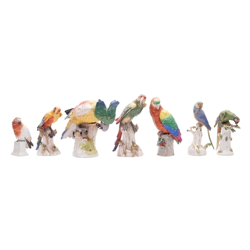 232 - A large Continental figure of a parrot and six smaller figures of parrots or parakeets naturalistica... 