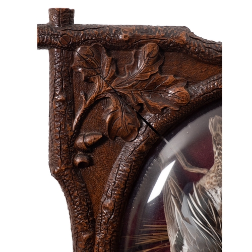 361 - A pair of 'Black Forest' carved and stained oak framed game trophies, Dutch, late 19th century; by W... 