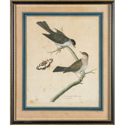 470 - After Francois Nicolas Martinet, a set of three and one later hand-coloured engravings of birds incl... 