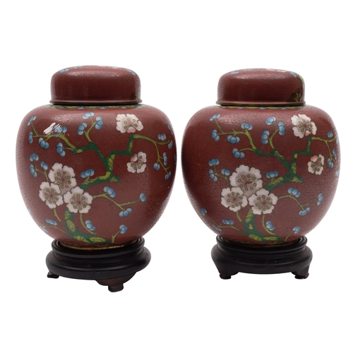 517 - A pair of Chinese cloisonne ginger jars and covers decorated with fruiting and flowering prunus on a... 