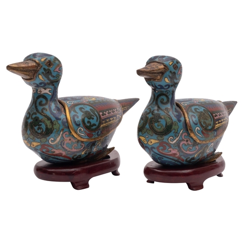 523 - A pair of Chinese cloisonne duck censers and covers decorated with mythical birds and scrollwork on ... 