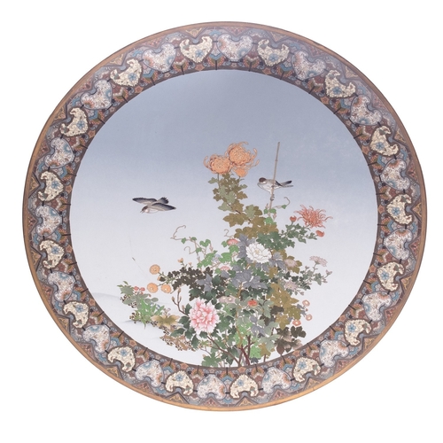 536 - A large Japanese cloisonne charger decorated with two finches,  one perched above flowering branches... 