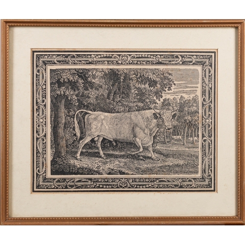 626 - After Thomas Bewick (British, 1753-1828) The Chillingham Bull Engraving 19 x 24.5cm Label 'Thomas Be... 