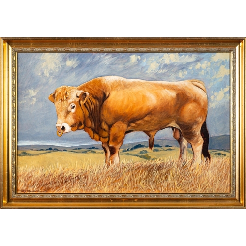 728 - Tony Whieldon (British, 20th Century) Aquitaine Bull Oil on canvas 49.5 x 79.5cm Signed lower left a... 