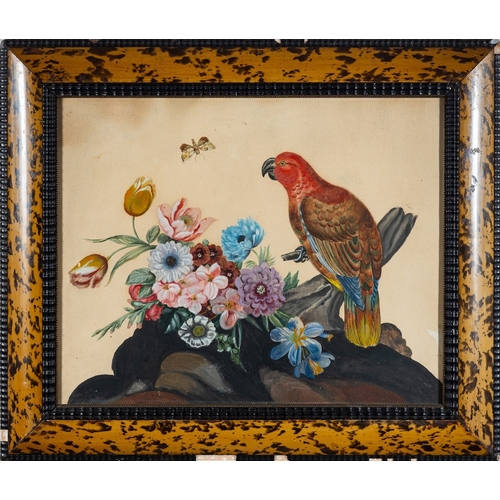 791 - British School, 19th Century Parrot, flowers and a moth Watercolour 39 x 49cm