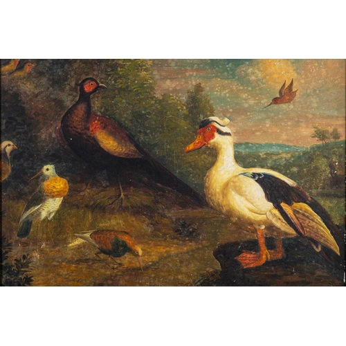 809 - British School (19th Century) Compositions with herons, ducks and other birds, in the manner of Melc... 