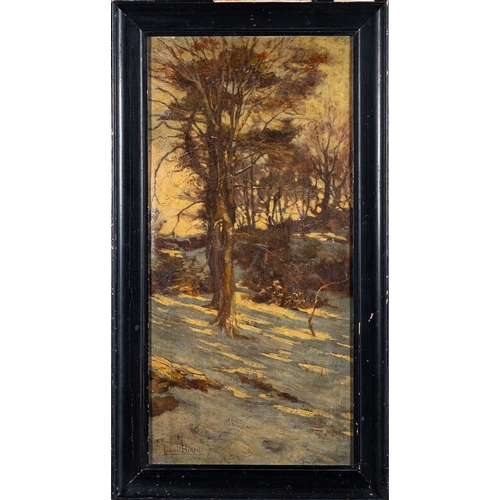 861 - Lionel Birch (British,1858-1930)  Winter scene Oil on canvas 60 x 28.5cm Signed lower left