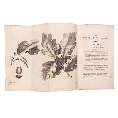 265 - [AIKIN, John]. The Woodland Companion or a brief Description of British Trees, London: Baldwin 1820.... 