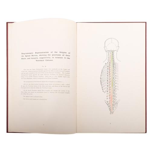 280 - IBBOTSON, William. Atlas of the Sensory Cutaneous Nerves, London, The Scientific Press 1920, first e... 