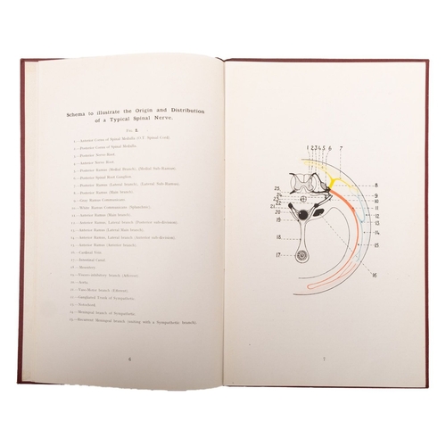 280 - IBBOTSON, William. Atlas of the Sensory Cutaneous Nerves, London, The Scientific Press 1920, first e... 