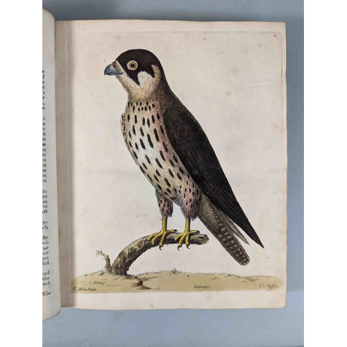 266 - ALBIN, Eleazar. A Natural History of Birds, to which are added, Notes and Observations by W. Derham,... 