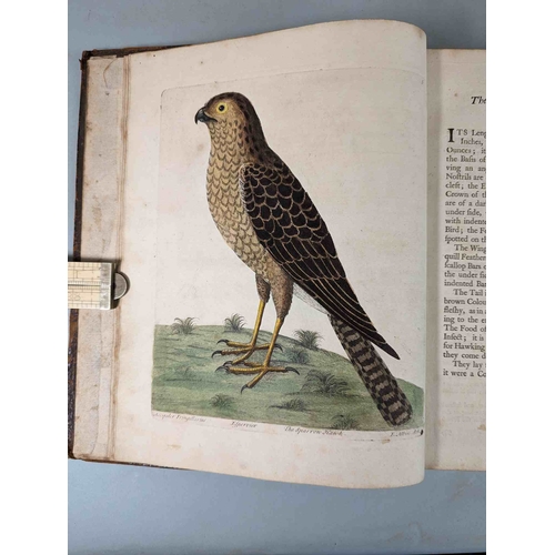 266 - ALBIN, Eleazar. A Natural History of Birds, to which are added, Notes and Observations by W. Derham,... 