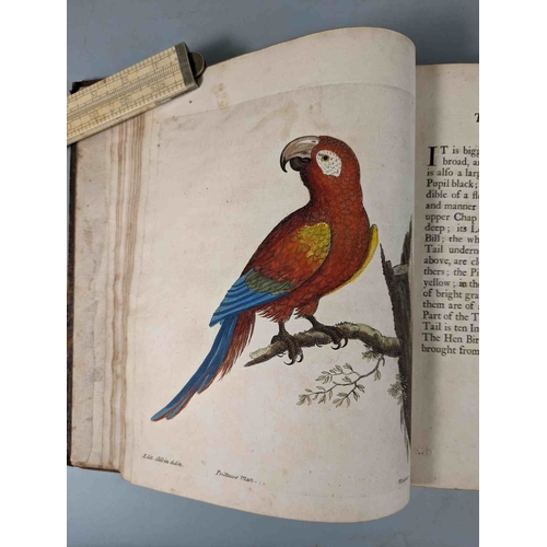 266 - ALBIN, Eleazar. A Natural History of Birds, to which are added, Notes and Observations by W. Derham,... 