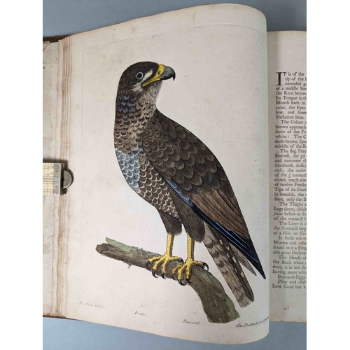 266 - ALBIN, Eleazar. A Natural History of Birds, to which are added, Notes and Observations by W. Derham,... 