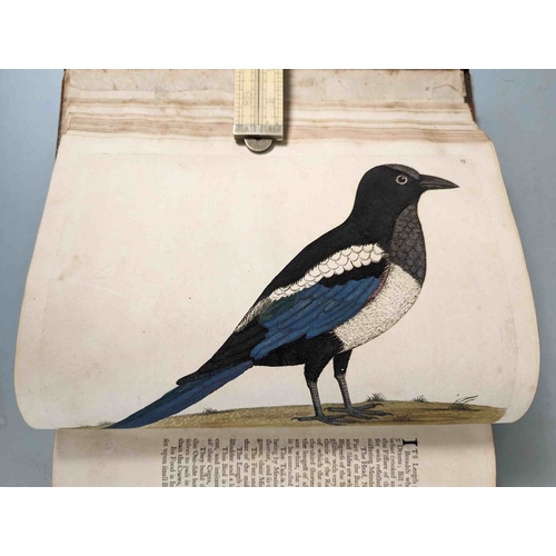 266 - ALBIN, Eleazar. A Natural History of Birds, to which are added, Notes and Observations by W. Derham,... 