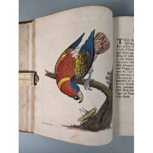 266 - ALBIN, Eleazar. A Natural History of Birds, to which are added, Notes and Observations by W. Derham,... 