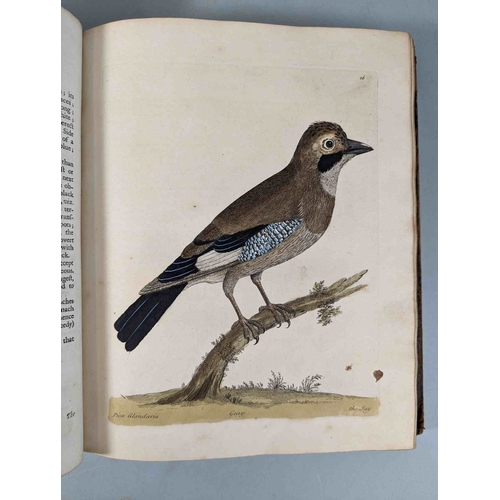 266 - ALBIN, Eleazar. A Natural History of Birds, to which are added, Notes and Observations by W. Derham,... 