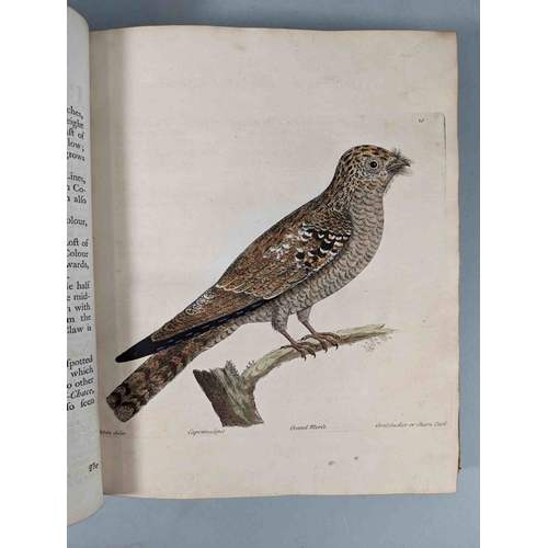 266 - ALBIN, Eleazar. A Natural History of Birds, to which are added, Notes and Observations by W. Derham,... 