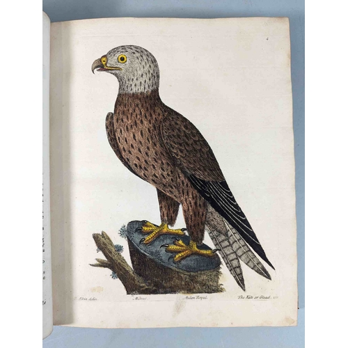 266 - ALBIN, Eleazar. A Natural History of Birds, to which are added, Notes and Observations by W. Derham,... 