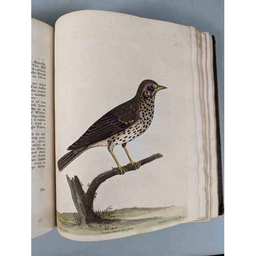 266 - ALBIN, Eleazar. A Natural History of Birds, to which are added, Notes and Observations by W. Derham,... 