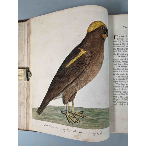 266 - ALBIN, Eleazar. A Natural History of Birds, to which are added, Notes and Observations by W. Derham,... 