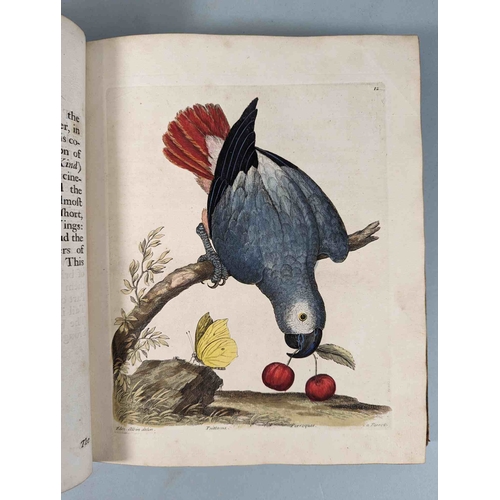 266 - ALBIN, Eleazar. A Natural History of Birds, to which are added, Notes and Observations by W. Derham,... 