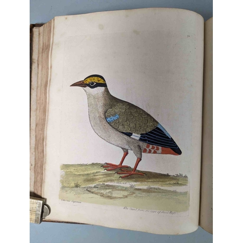 266 - ALBIN, Eleazar. A Natural History of Birds, to which are added, Notes and Observations by W. Derham,... 