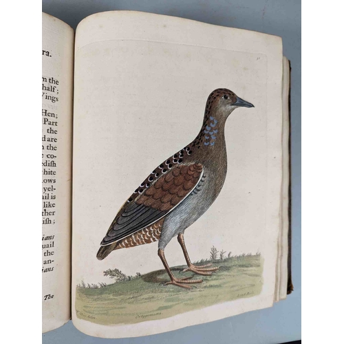 266 - ALBIN, Eleazar. A Natural History of Birds, to which are added, Notes and Observations by W. Derham,... 