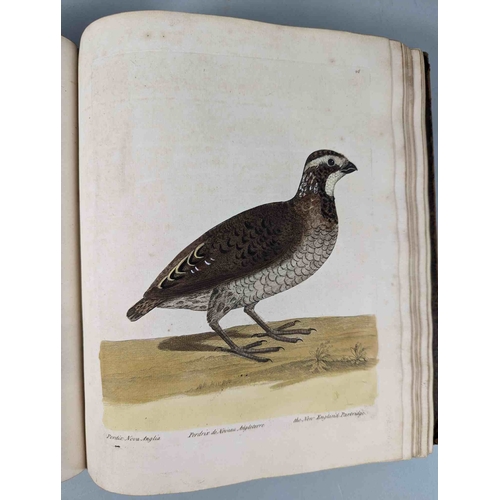 266 - ALBIN, Eleazar. A Natural History of Birds, to which are added, Notes and Observations by W. Derham,... 