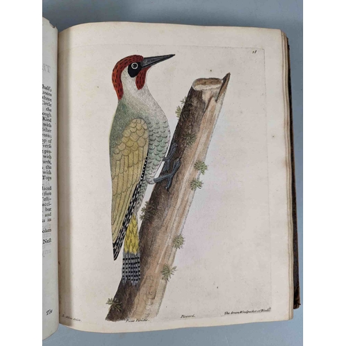 266 - ALBIN, Eleazar. A Natural History of Birds, to which are added, Notes and Observations by W. Derham,... 