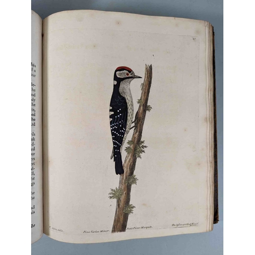 266 - ALBIN, Eleazar. A Natural History of Birds, to which are added, Notes and Observations by W. Derham,... 