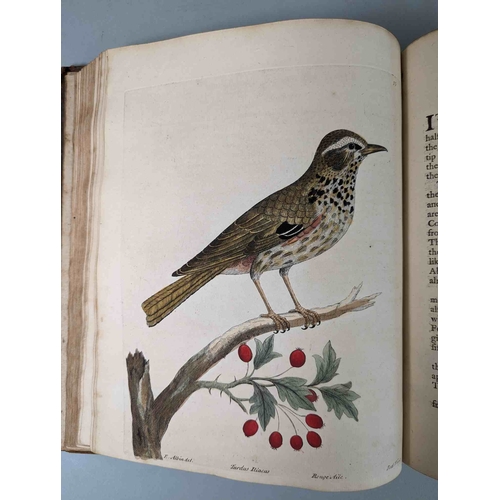 266 - ALBIN, Eleazar. A Natural History of Birds, to which are added, Notes and Observations by W. Derham,... 