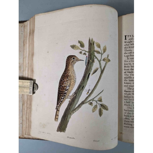 266 - ALBIN, Eleazar. A Natural History of Birds, to which are added, Notes and Observations by W. Derham,... 