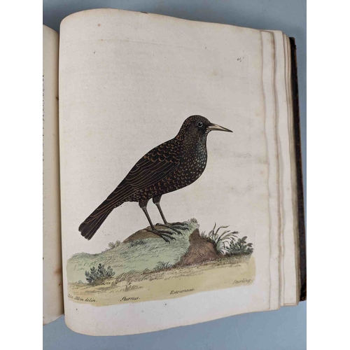 266 - ALBIN, Eleazar. A Natural History of Birds, to which are added, Notes and Observations by W. Derham,... 