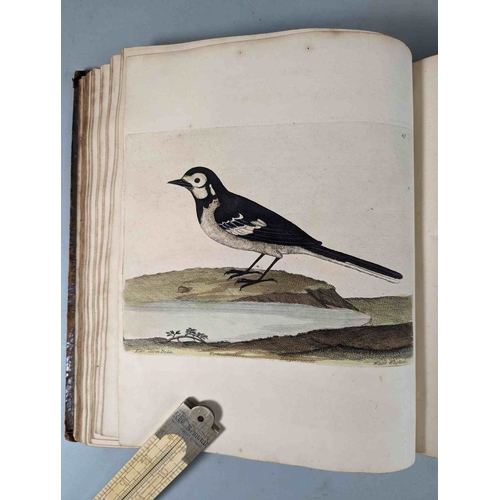 266 - ALBIN, Eleazar. A Natural History of Birds, to which are added, Notes and Observations by W. Derham,... 