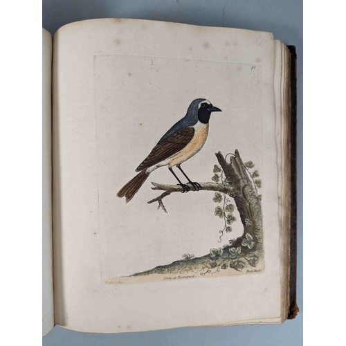 266 - ALBIN, Eleazar. A Natural History of Birds, to which are added, Notes and Observations by W. Derham,... 