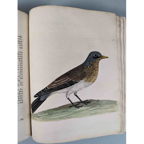 266 - ALBIN, Eleazar. A Natural History of Birds, to which are added, Notes and Observations by W. Derham,... 