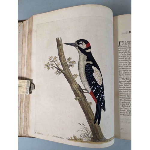 266 - ALBIN, Eleazar. A Natural History of Birds, to which are added, Notes and Observations by W. Derham,... 