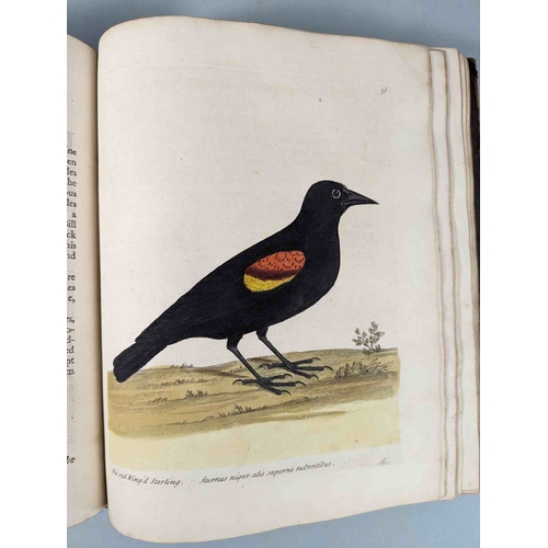 266 - ALBIN, Eleazar. A Natural History of Birds, to which are added, Notes and Observations by W. Derham,... 