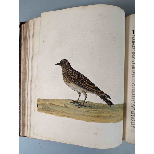 266 - ALBIN, Eleazar. A Natural History of Birds, to which are added, Notes and Observations by W. Derham,... 