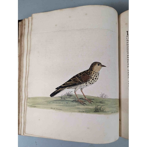 266 - ALBIN, Eleazar. A Natural History of Birds, to which are added, Notes and Observations by W. Derham,... 