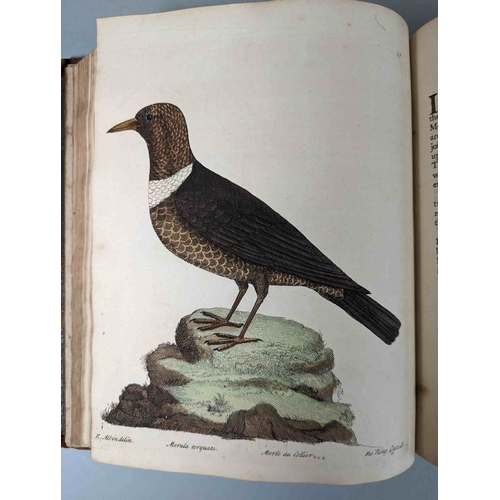 266 - ALBIN, Eleazar. A Natural History of Birds, to which are added, Notes and Observations by W. Derham,... 