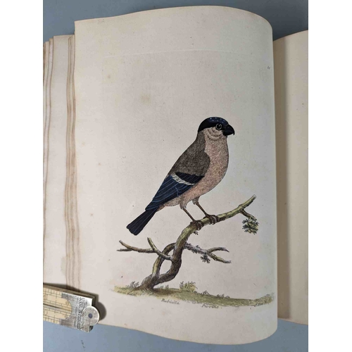 266 - ALBIN, Eleazar. A Natural History of Birds, to which are added, Notes and Observations by W. Derham,... 