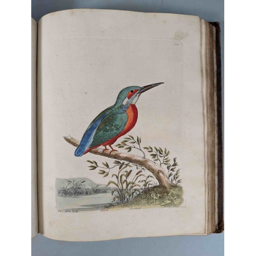 266 - ALBIN, Eleazar. A Natural History of Birds, to which are added, Notes and Observations by W. Derham,... 